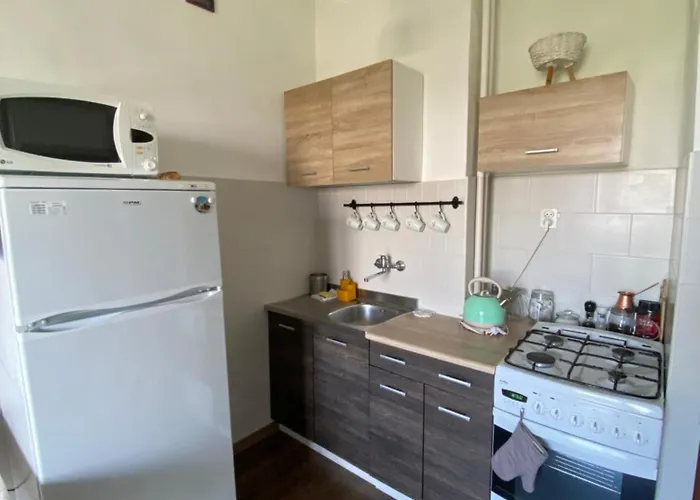Ohmyhome - Sunny Apartment In City Center